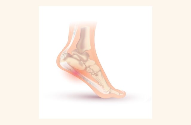Ayak bileği ve ayak bölgesini gösteren anatomik çizim